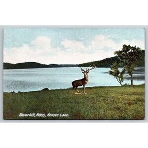 Postcard Massachusetts Haverhill Kenoza Lake Elk Statue c1905 Unposted Germany
